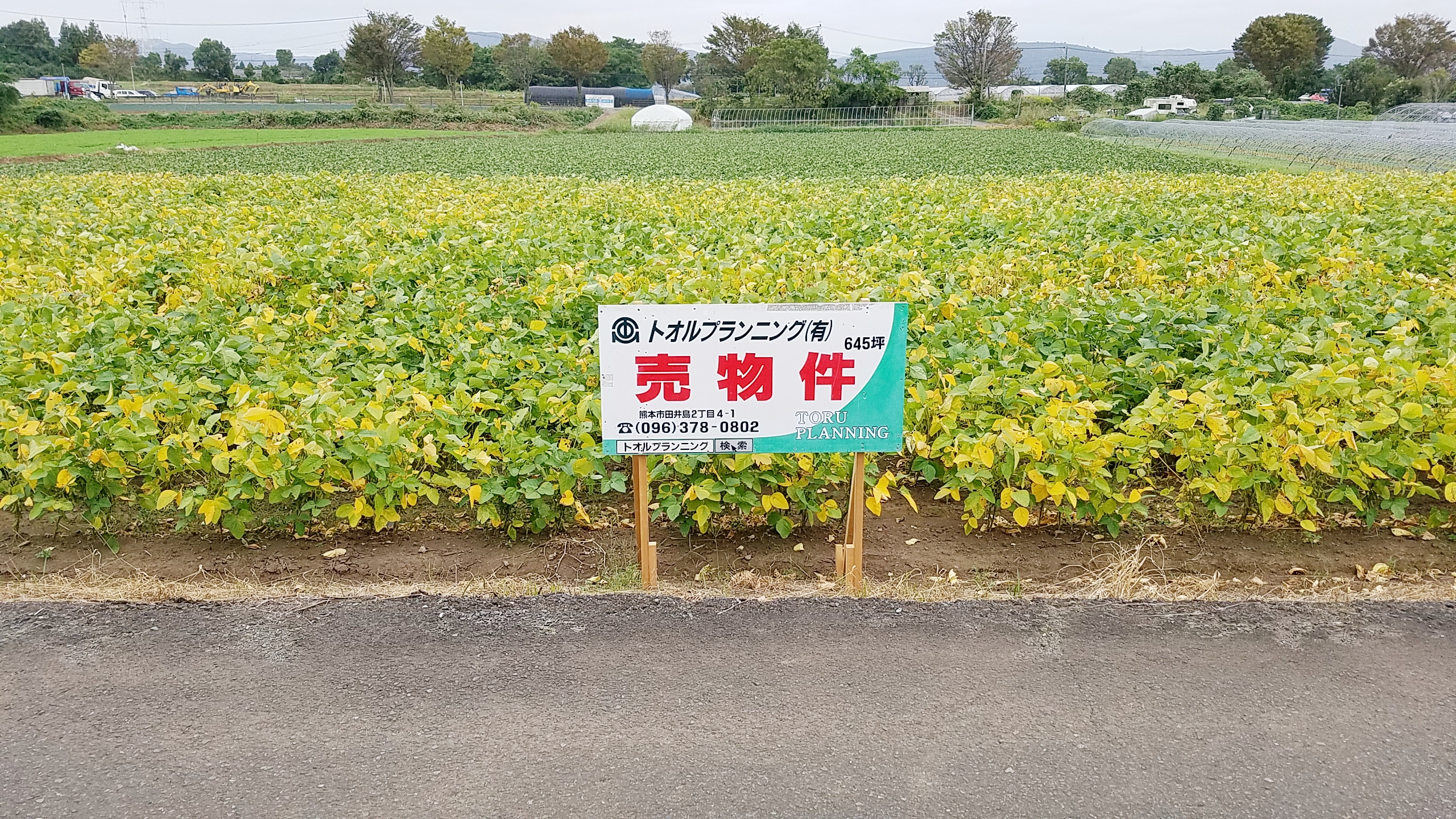 戸島町売地